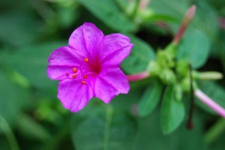 人算命是为了什么